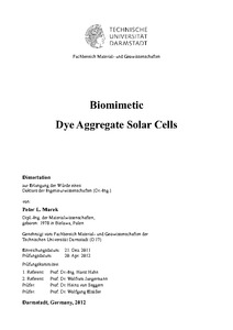 Organic solar cells thesis